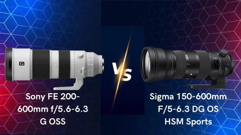 Sony 200-600mm vs Sigma 150-600mm lens comparison