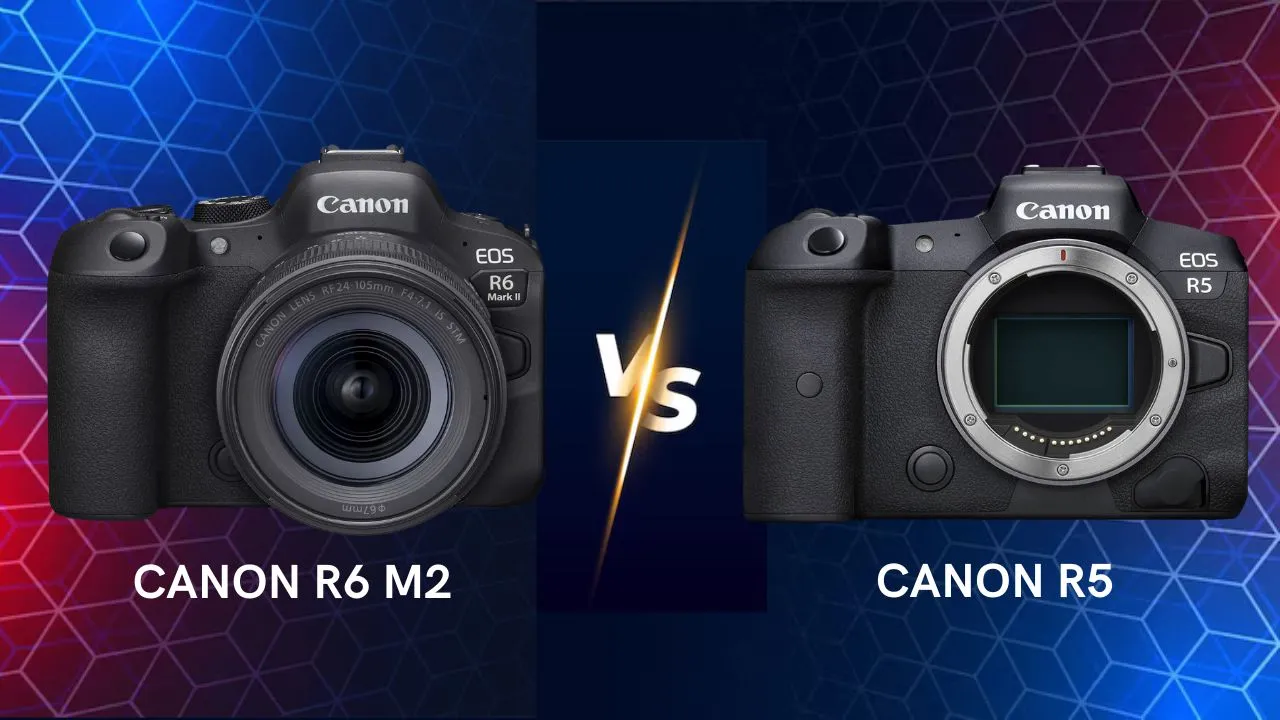 Canon EOS R6 Mark II vs R5 mirrorless camera side by side comparison