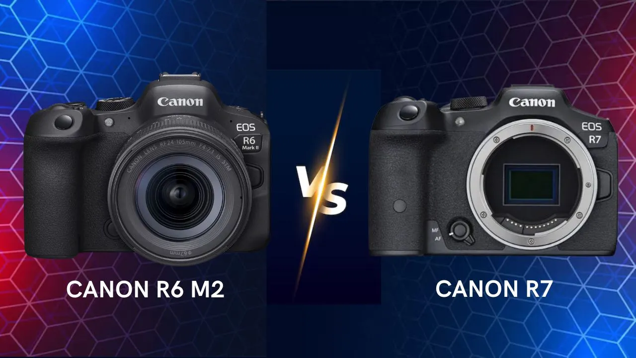 Canon EOS R6 Mark II vs R7 mirrorless camera side by side comparison