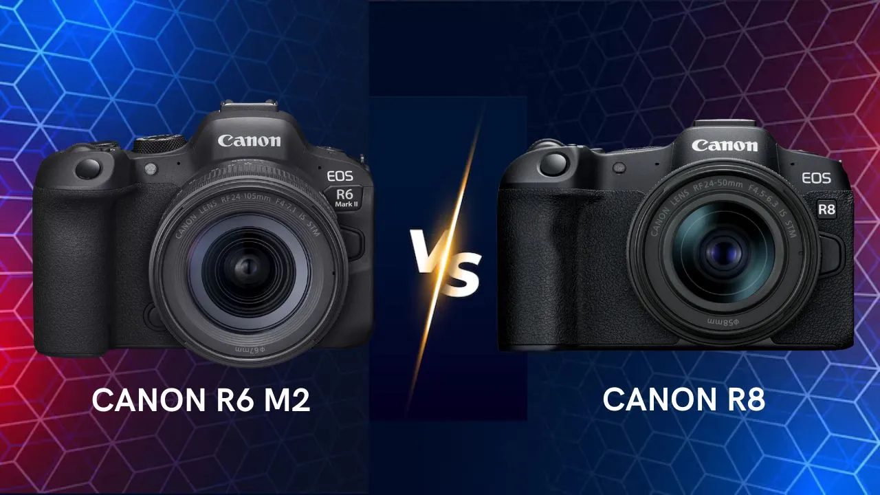 Canon EOS R6 Mark II vs R8 mirrorless camera side by side comparison