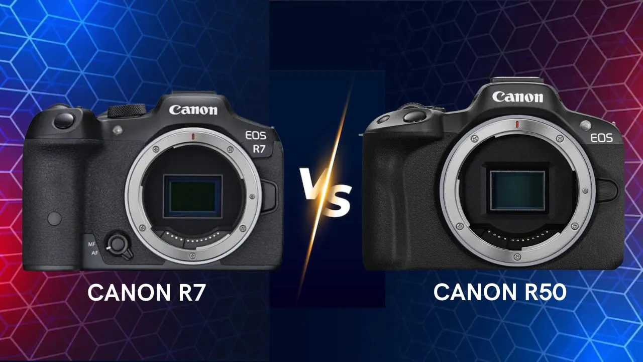 Canon EOS R7 vs R50 mirrorless camera side by side comparison