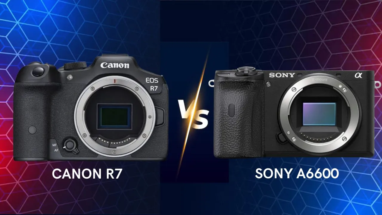 Canon EOS R7 vs Sony A6600 mirrorless camera side by side comparison