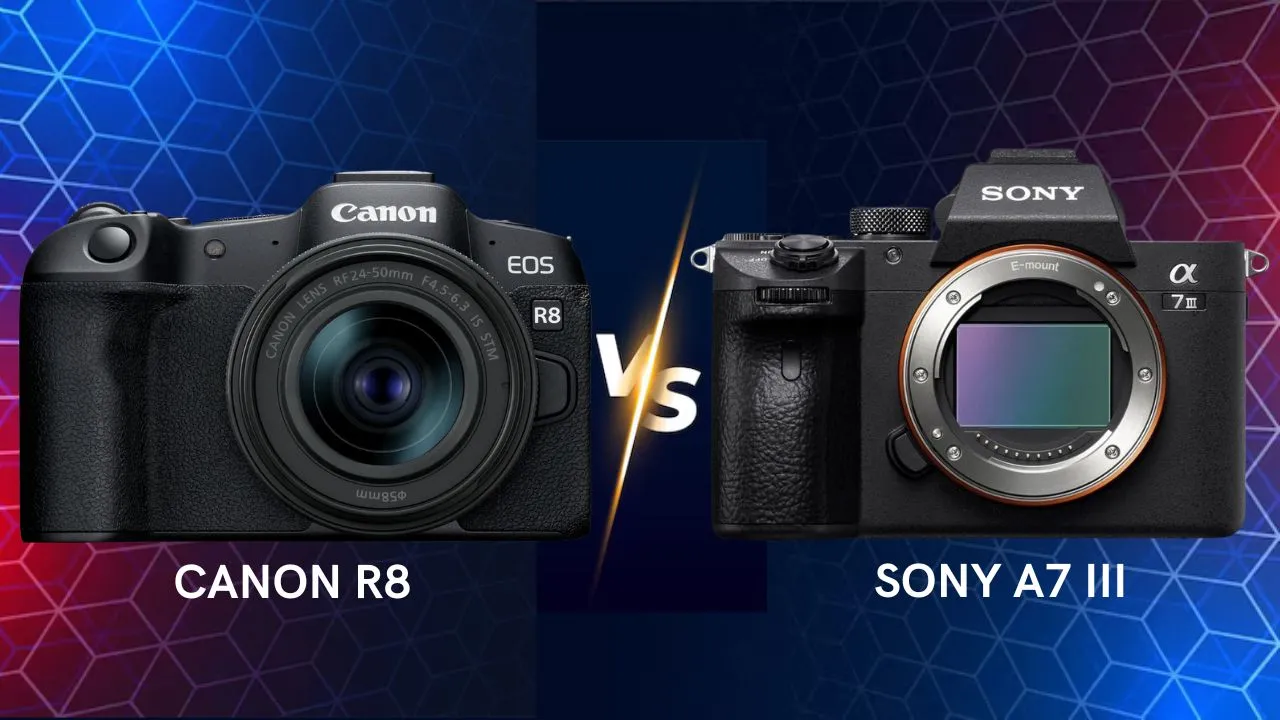 Canon R8 versus Sony A7 III camera comparison