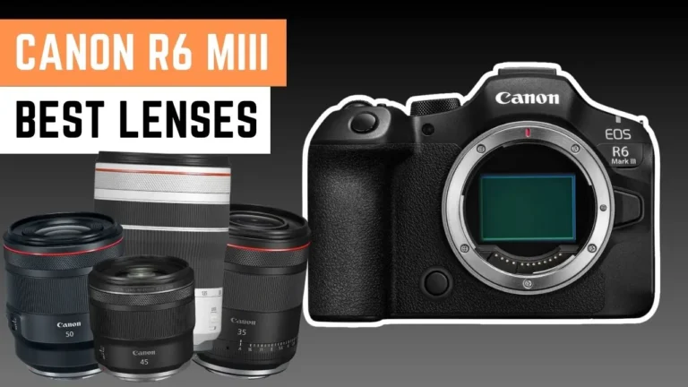 canon r6 mark 3 best lenses which one to choose