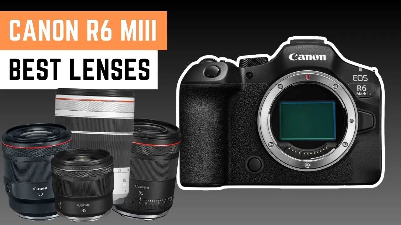 canon r6 mark 3 best lenses which one to choose