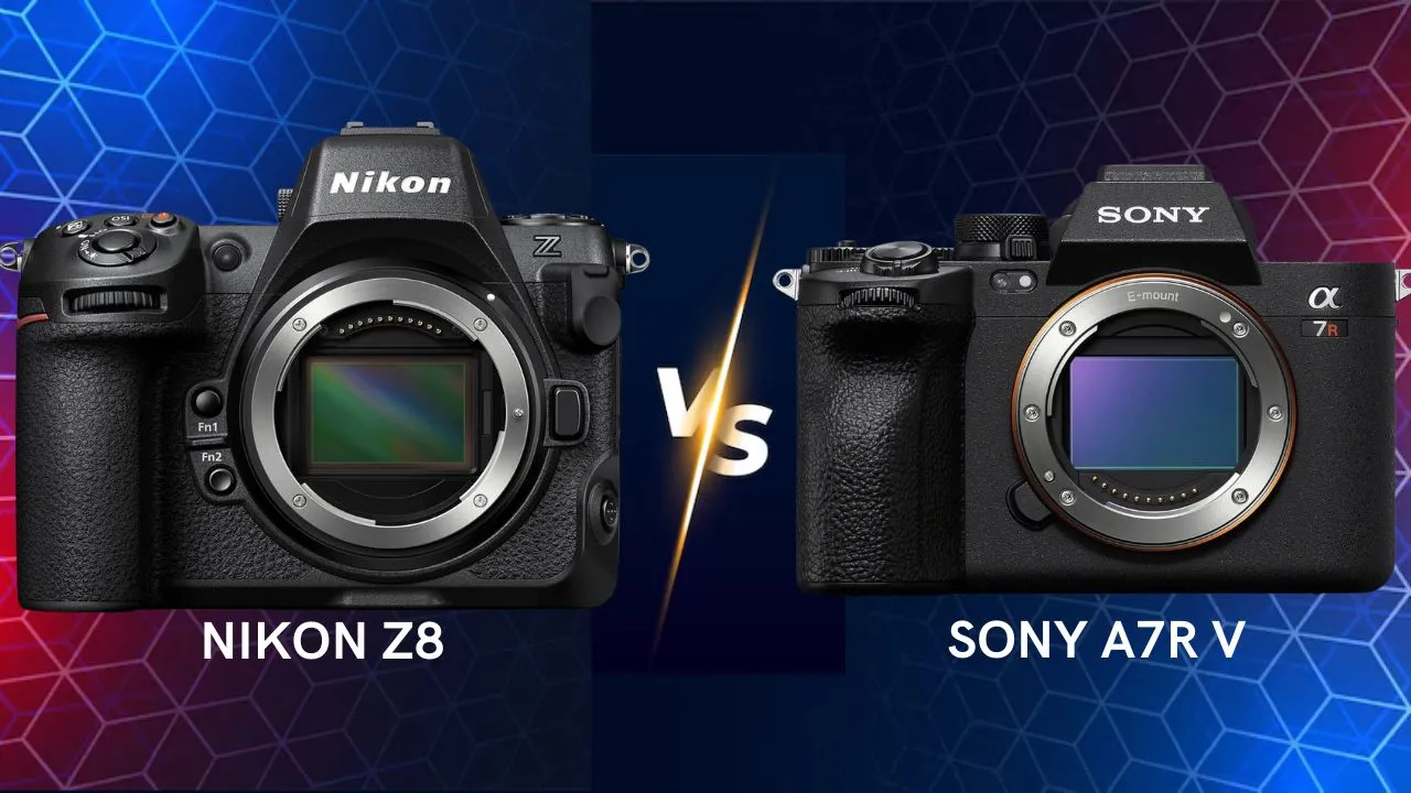 Nikon Z8 vs Sony A7R V mirrorless camera side by side comparison