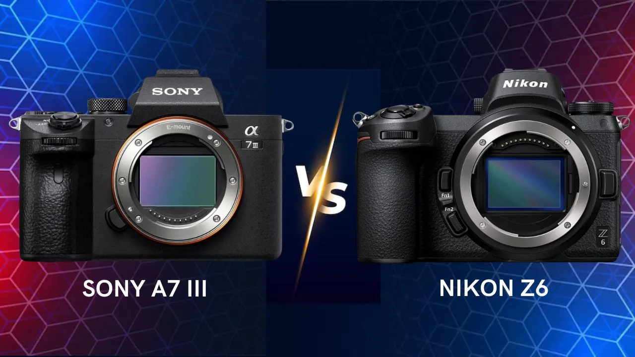Sony A7 III vs Nikon Z6 camera comparison
